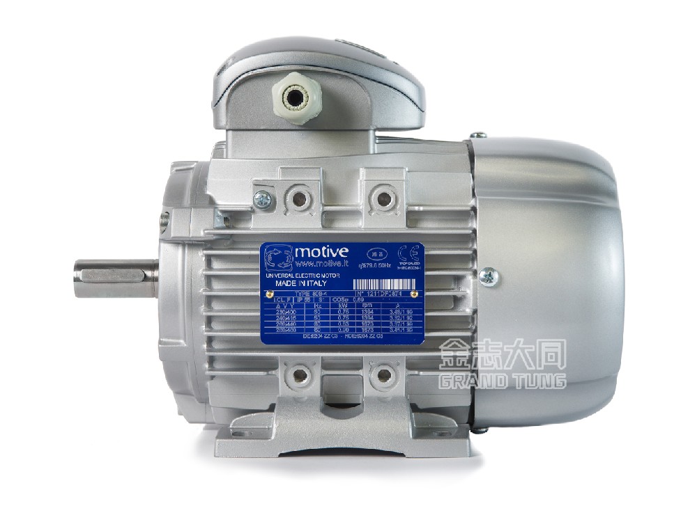 意大利Motive電機 DELPHI系列  IE3